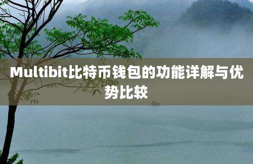 Multibit比特币钱包的功能详解与优势比较