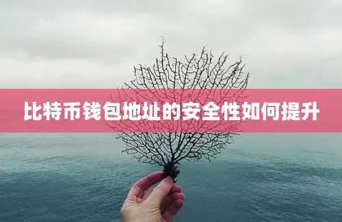 比特币钱包地址的安全性如何提升