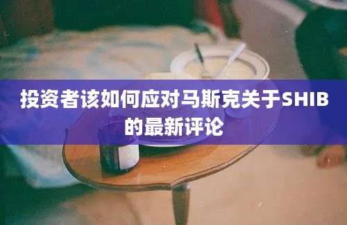 投资者该如何应对马斯克关于SHIB的最新评论