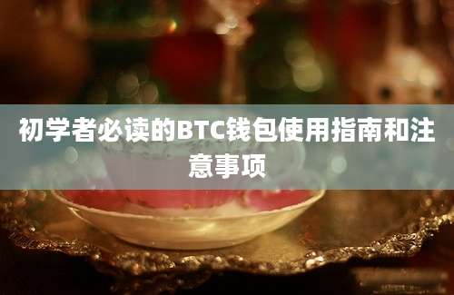 初学者必读的BTC钱包使用指南和注意事项