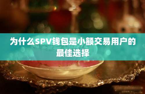 为什么SPV钱包是小额交易用户的最佳选择