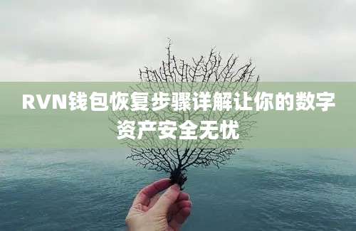 RVN钱包恢复步骤详解让你的数字资产安全无忧