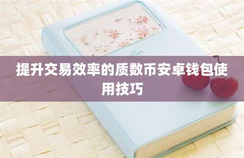 提升交易效率的质数币安卓钱包使用技巧