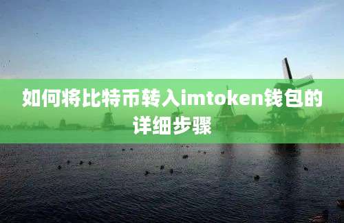 如何将比特币转入imtoken钱包的详细步骤