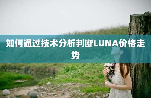 如何通过技术分析判断LUNA价格走势