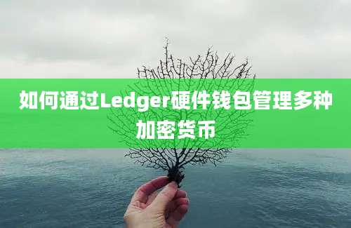 如何通过Ledger硬件钱包管理多种加密货币