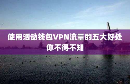 使用活动钱包VPN流量的五大好处你不得不知