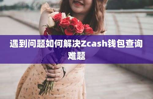 遇到问题如何解决Zcash钱包查询难题