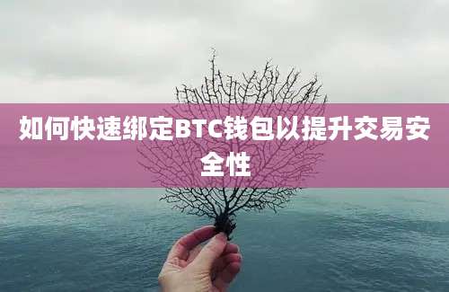 如何快速绑定BTC钱包以提升交易安全性