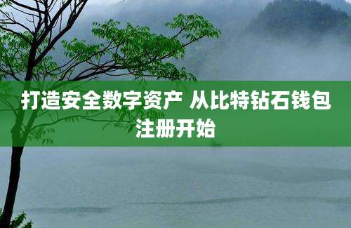 打造安全数字资产 从比特钻石钱包注册开始