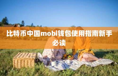 比特币中国mobi钱包使用指南新手必读