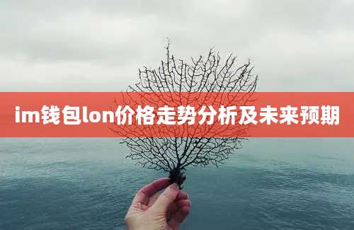 im钱包lon价格走势分析及未来预期