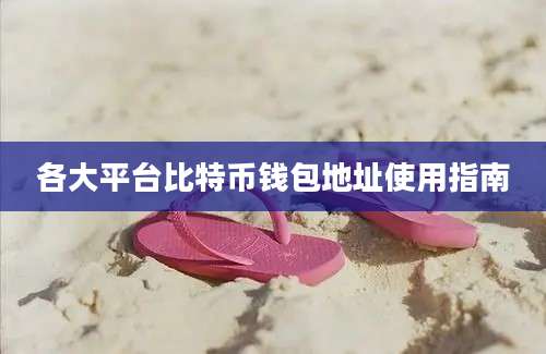 各大平台比特币钱包地址使用指南