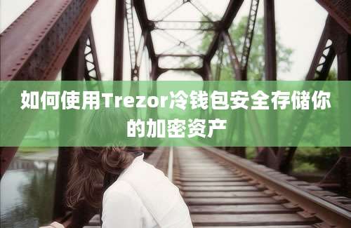 如何使用Trezor冷钱包安全存储你的加密资产