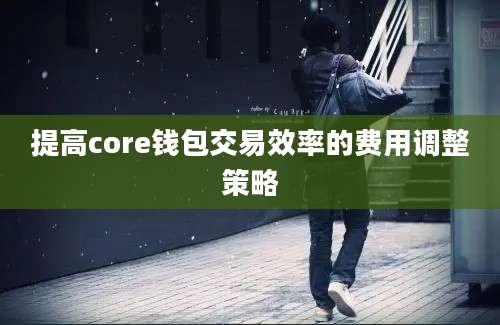 提高core钱包交易效率的费用调整策略