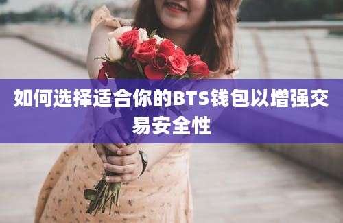 如何选择适合你的BTS钱包以增强交易安全性