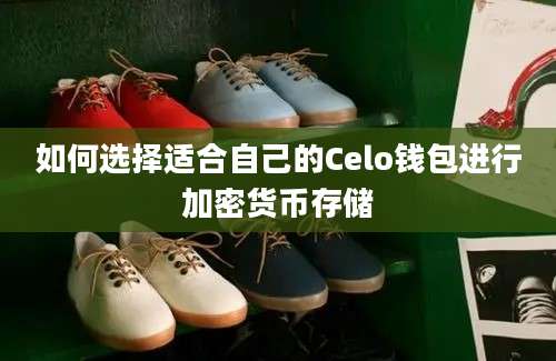 如何选择适合自己的Celo钱包进行加密货币存储