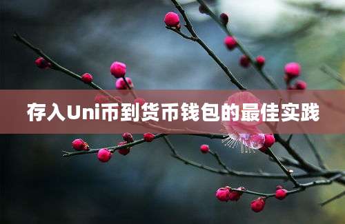 存入Uni币到货币钱包的最佳实践