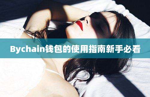 Bychain钱包的使用指南新手必看