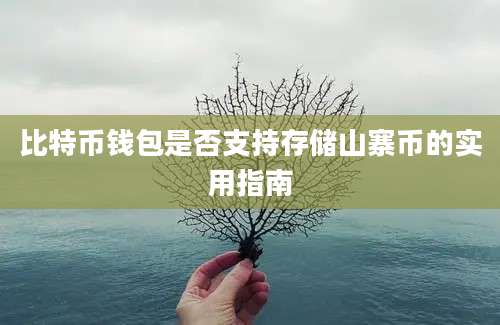 比特币钱包是否支持存储山寨币的实用指南