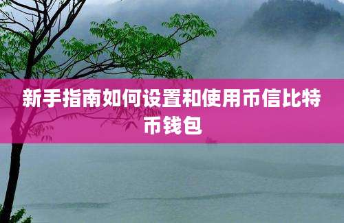 新手指南如何设置和使用币信比特币钱包