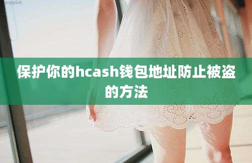 保护你的hcash钱包地址防止被盗的方法