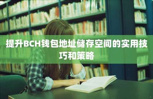 提升BCH钱包地址储存空间的实用技巧和策略