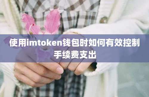 使用imtoken钱包时如何有效控制手续费支出