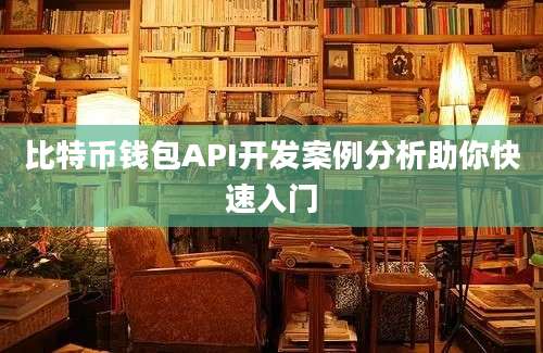 比特币钱包API开发案例分析助你快速入门