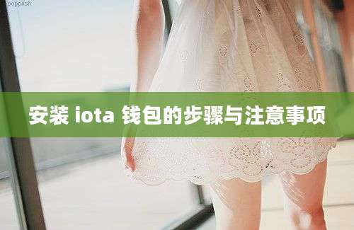 安装 iota 钱包的步骤与注意事项