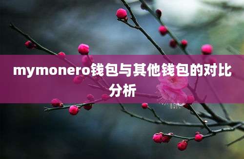 mymonero钱包与其他钱包的对比分析