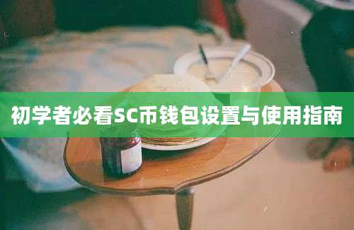 初学者必看SC币钱包设置与使用指南