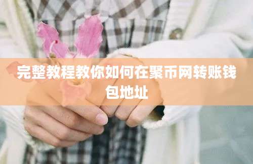 完整教程教你如何在聚币网转账钱包地址