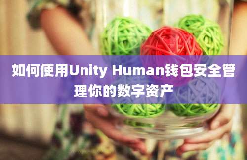 如何使用Unity Human钱包安全管理你的数字资产