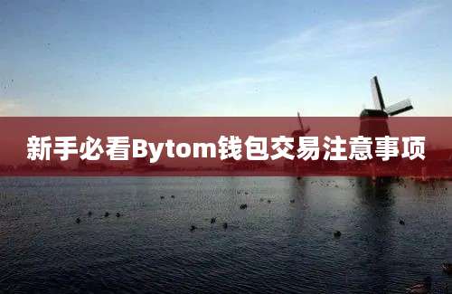 新手必看Bytom钱包交易注意事项