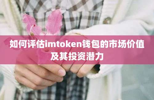 如何评估imtoken钱包的市场价值及其投资潜力