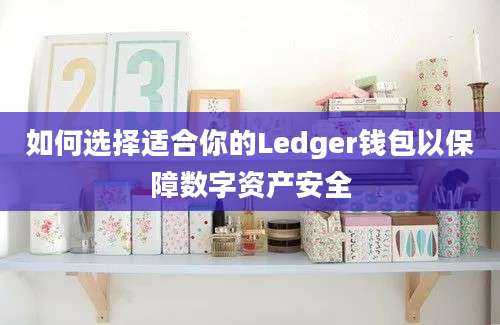 如何选择适合你的Ledger钱包以保障数字资产安全