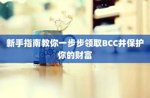 新手指南教你一步步领取BCC并保护你的财富