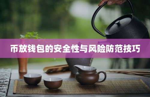 币放钱包的安全性与风险防范技巧