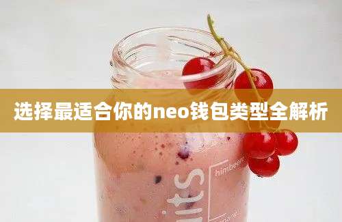 选择最适合你的neo钱包类型全解析