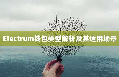 Electrum钱包类型解析及其适用场景