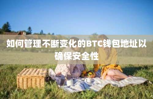 如何管理不断变化的BTC钱包地址以确保安全性