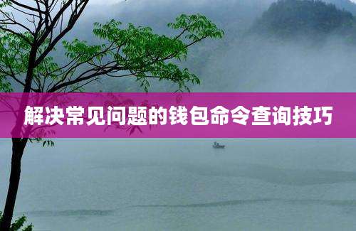 解决常见问题的钱包命令查询技巧