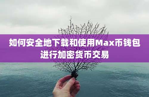 如何安全地下载和使用Max币钱包进行加密货币交易