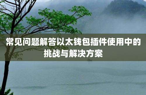 常见问题解答以太钱包插件使用中的挑战与解决方案