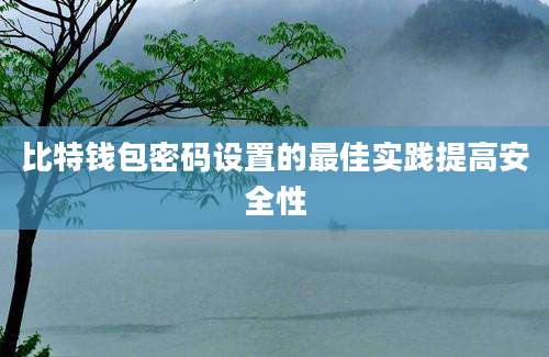 比特钱包密码设置的最佳实践提高安全性