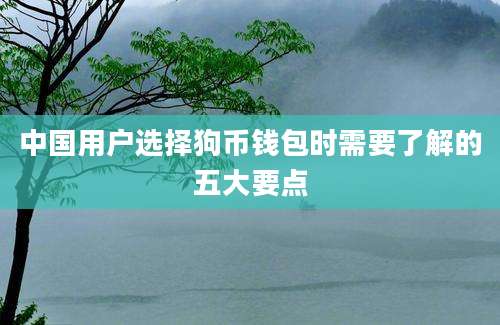 中国用户选择狗币钱包时需要了解的五大要点