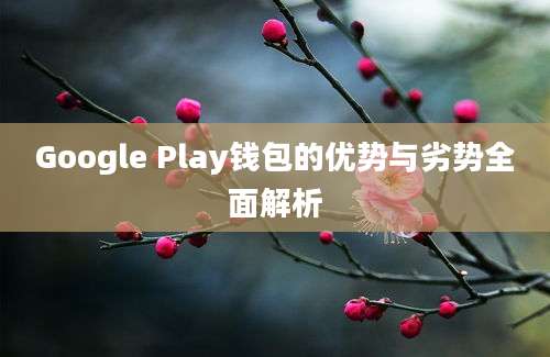 Google Play钱包的优势与劣势全面解析