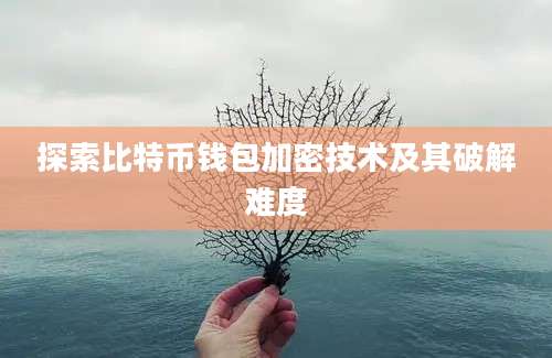 探索比特币钱包加密技术及其破解难度