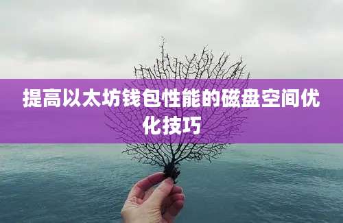 提高以太坊钱包性能的磁盘空间优化技巧